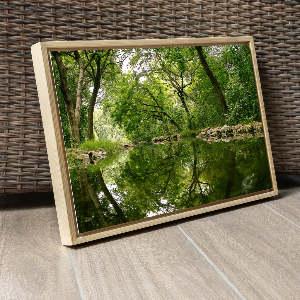 Delhi Green Escape – Forest Canopy, Stone Edge & Perfect Reflection | Fine Art Wall Photography Print