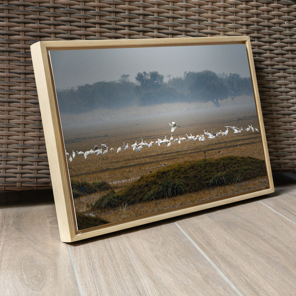 Bharatpur Bird Sanctuary – Flock in the Mist, One in Flight | Fine Art Wall Photography Print