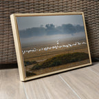Bharatpur Bird Sanctuary – Flock in the Mist, One in Flight | Fine Art Wall Photography Print