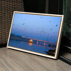 Yamuna River – Winter Morning, Flock of Seagulls & the Blue Dawn Sky | Fine Art Wall Photography Print