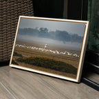 Bharatpur Bird Sanctuary – Flock in the Mist, One in Flight | Fine Art Wall Photography Print