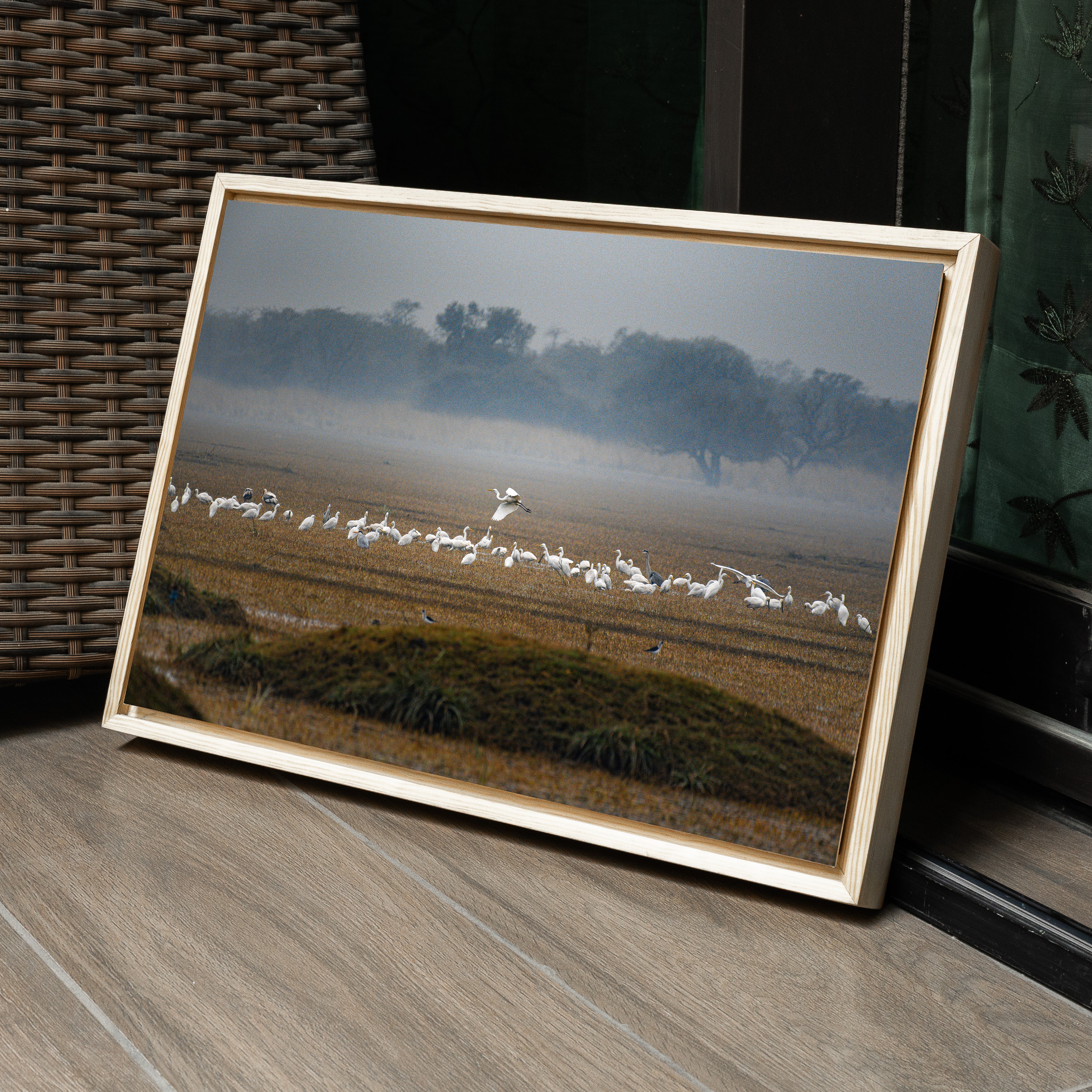 Bharatpur Bird Sanctuary – Flock in the Mist, One in Flight | Fine Art Wall Photography Print