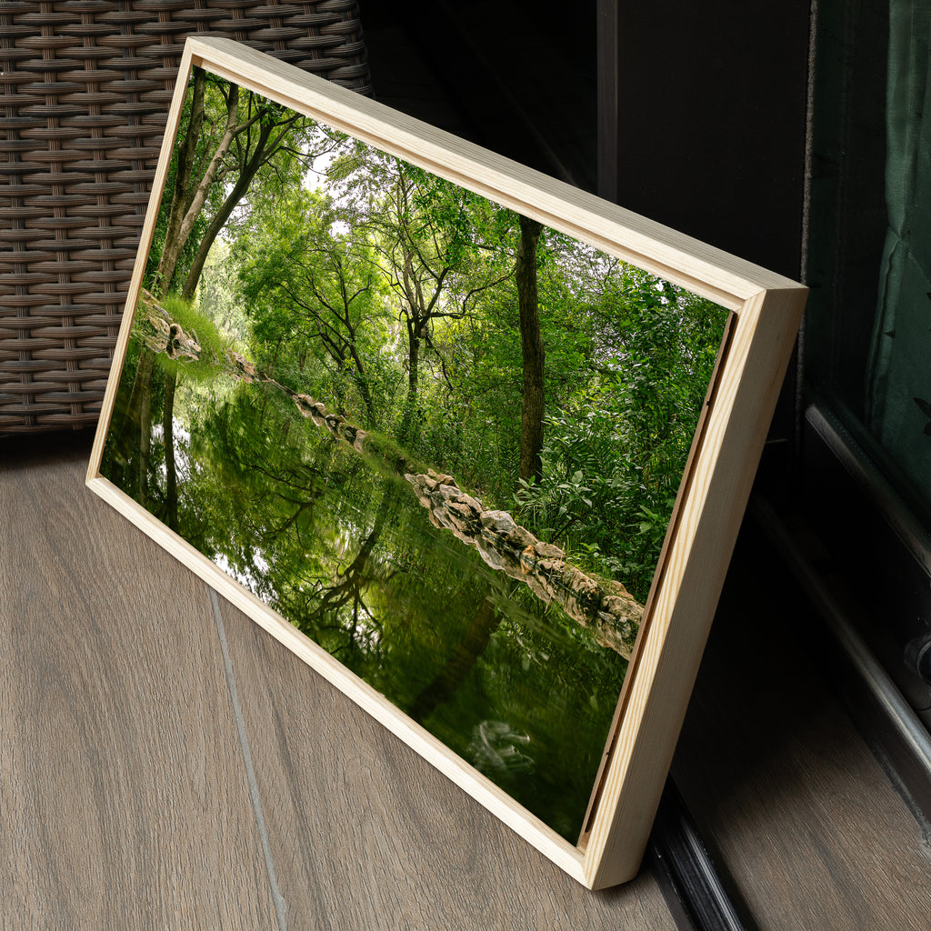 Delhi Green Escape – Forest Canopy, Stone Edge & Perfect Reflection | Fine Art Wall Photography Print