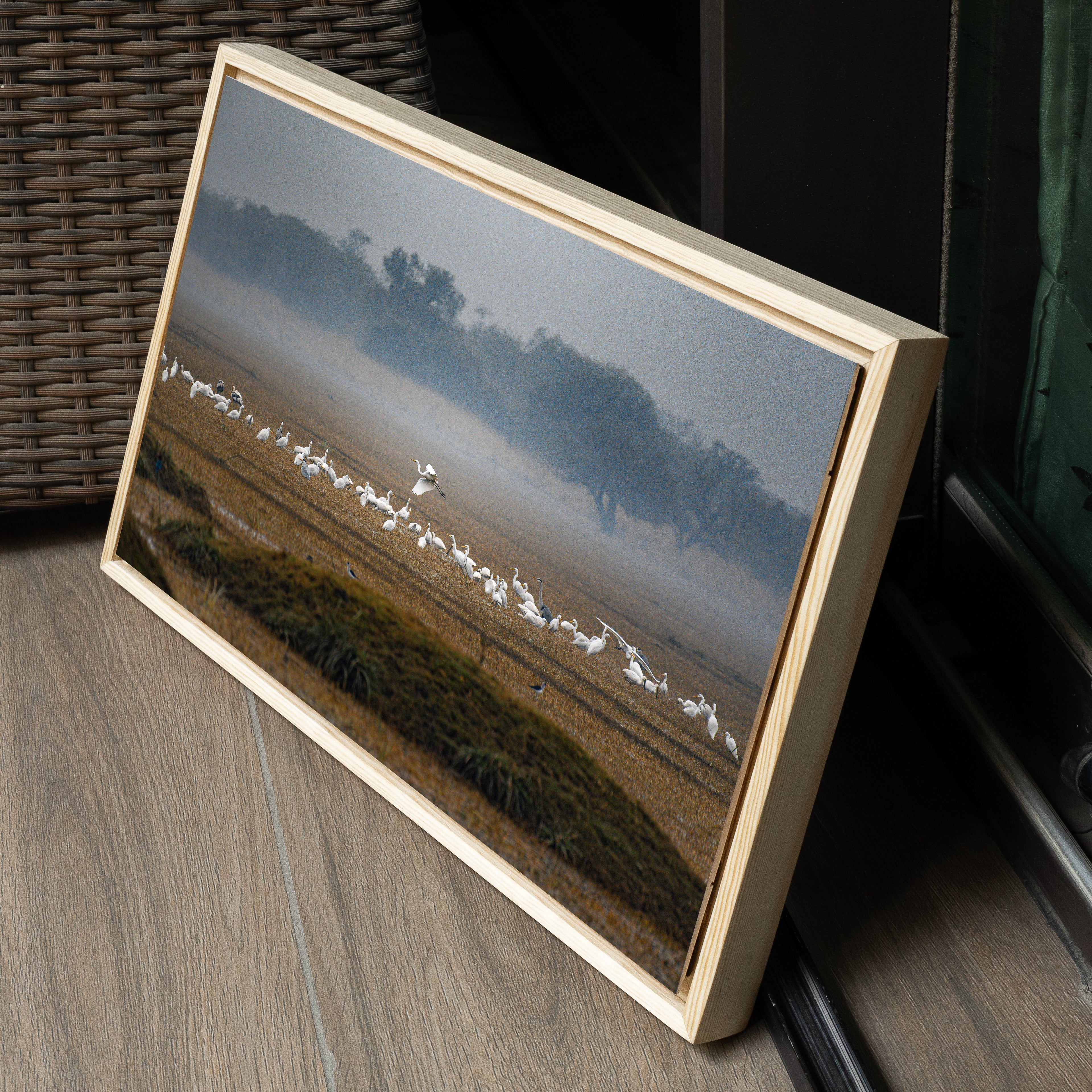 Bharatpur Bird Sanctuary – Flock in the Mist, One in Flight | Fine Art Wall Photography Print
