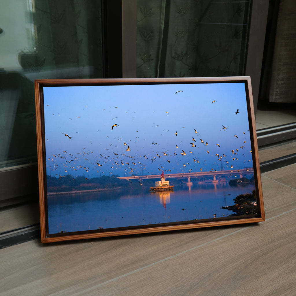 Yamuna River – Winter Morning, Flock of Seagulls & the Blue Dawn Sky | Fine Art Wall Photography Print