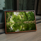 Delhi Green Escape – Forest Canopy, Stone Edge & Perfect Reflection | Fine Art Wall Photography Print