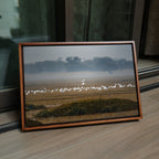 Bharatpur Bird Sanctuary – Flock in the Mist, One in Flight | Fine Art Wall Photography Print