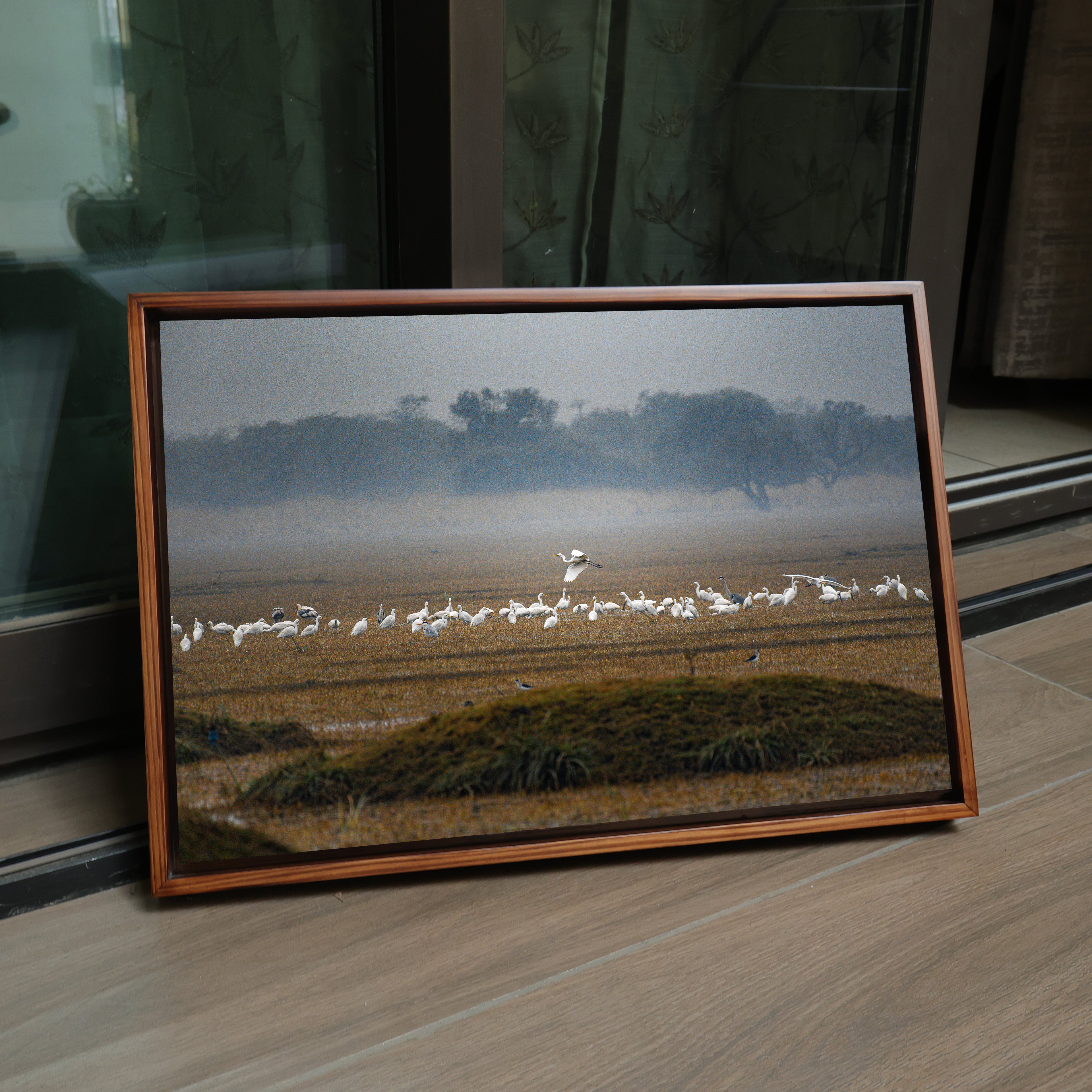 Bharatpur Bird Sanctuary – Flock in the Mist, One in Flight | Fine Art Wall Photography Print