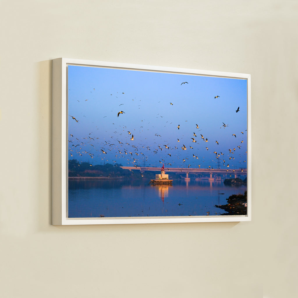 Yamuna River – Winter Morning, Flock of Seagulls & the Blue Dawn Sky | Fine Art Wall Photography Print