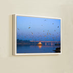 Yamuna River – Winter Morning, Flock of Seagulls & the Blue Dawn Sky | Fine Art Wall Photography Print