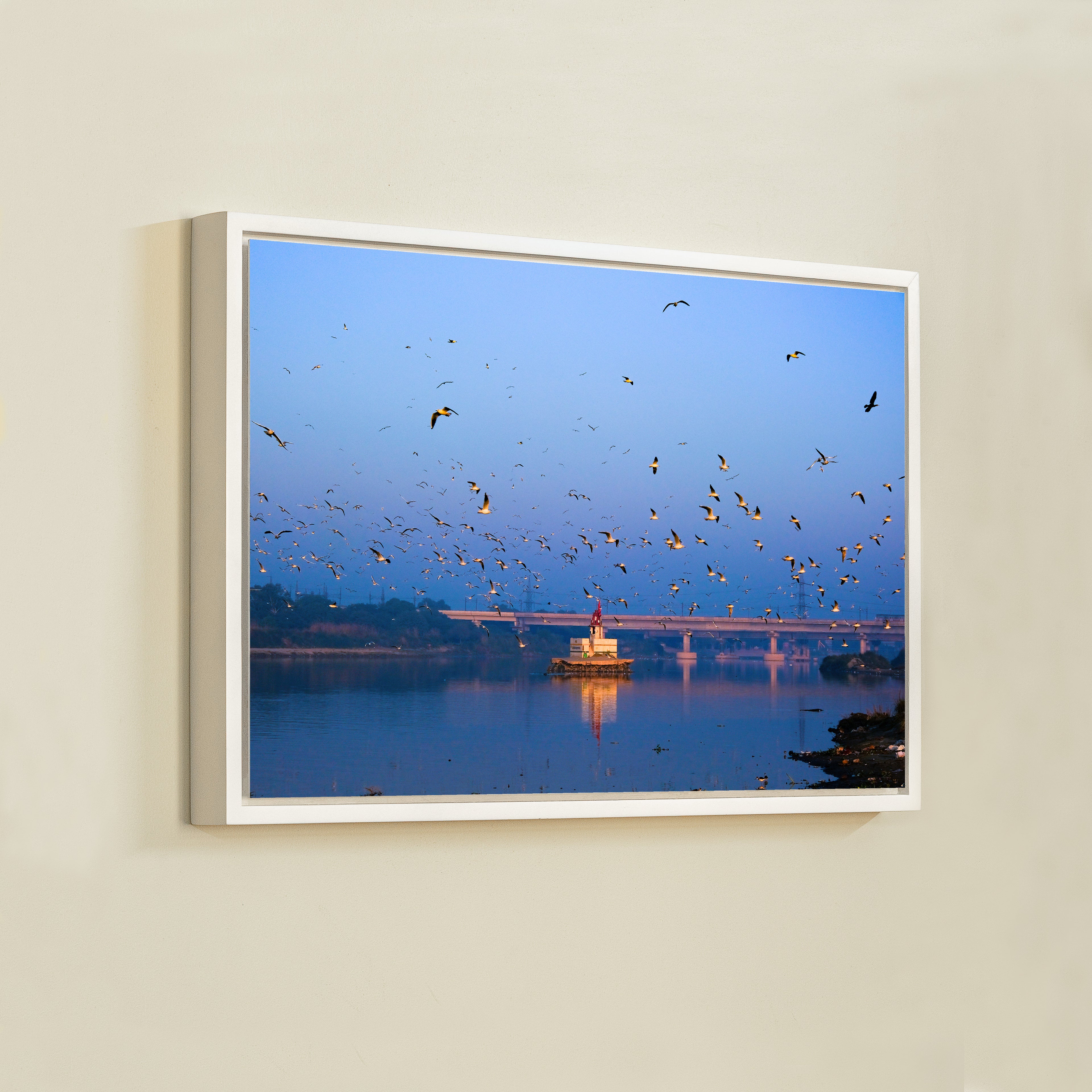 Yamuna River – Winter Morning, Flock of Seagulls & the Blue Dawn Sky | Fine Art Wall Photography Print