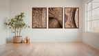 Safdarjung Tomb, Delhi – Vault Relief Triptych | Stucco, Shadow & the Last Flourish of the Mughals | Fine Art Wall Photography Print