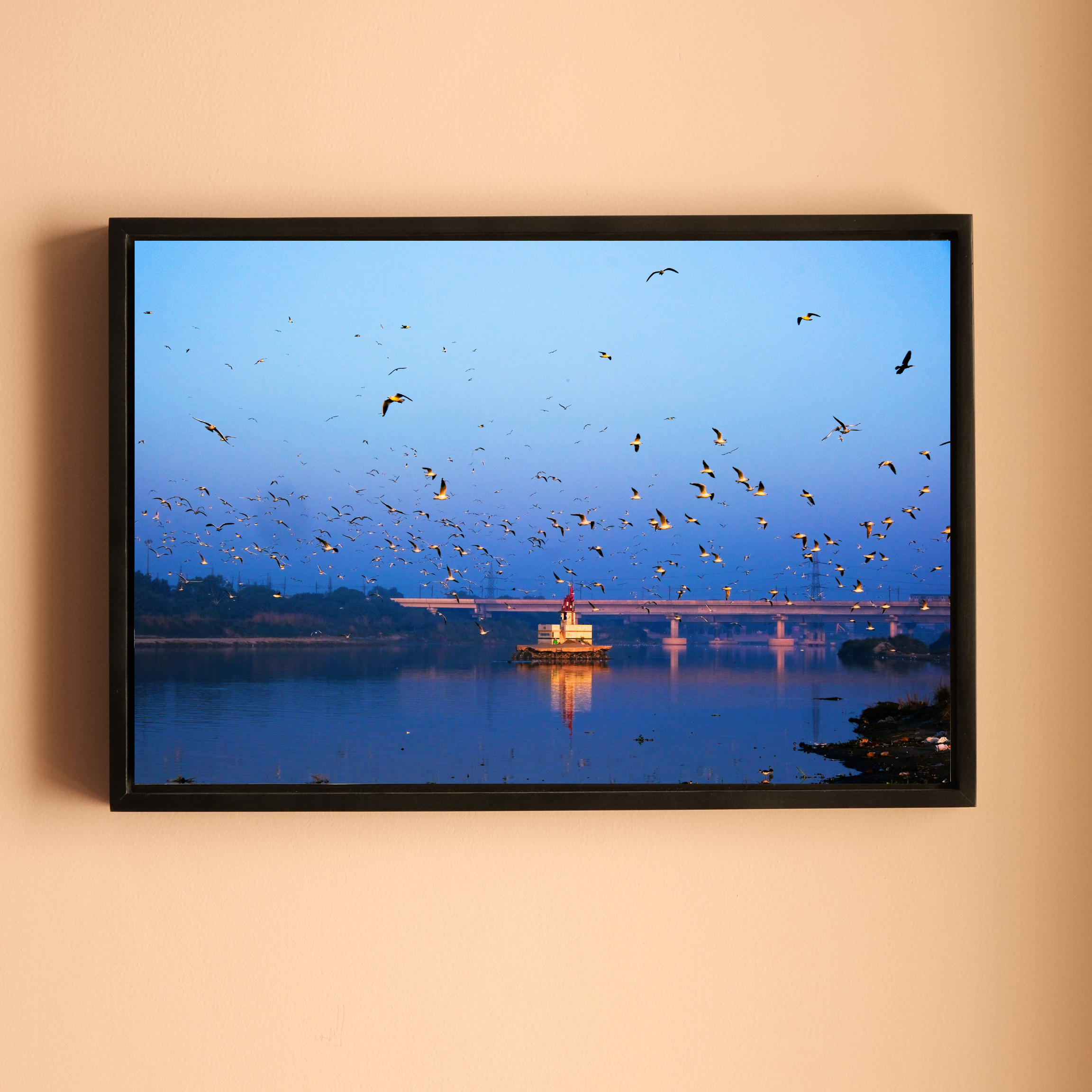Yamuna River – Winter Morning, Flock of Seagulls & the Blue Dawn Sky | Fine Art Wall Photography Print
