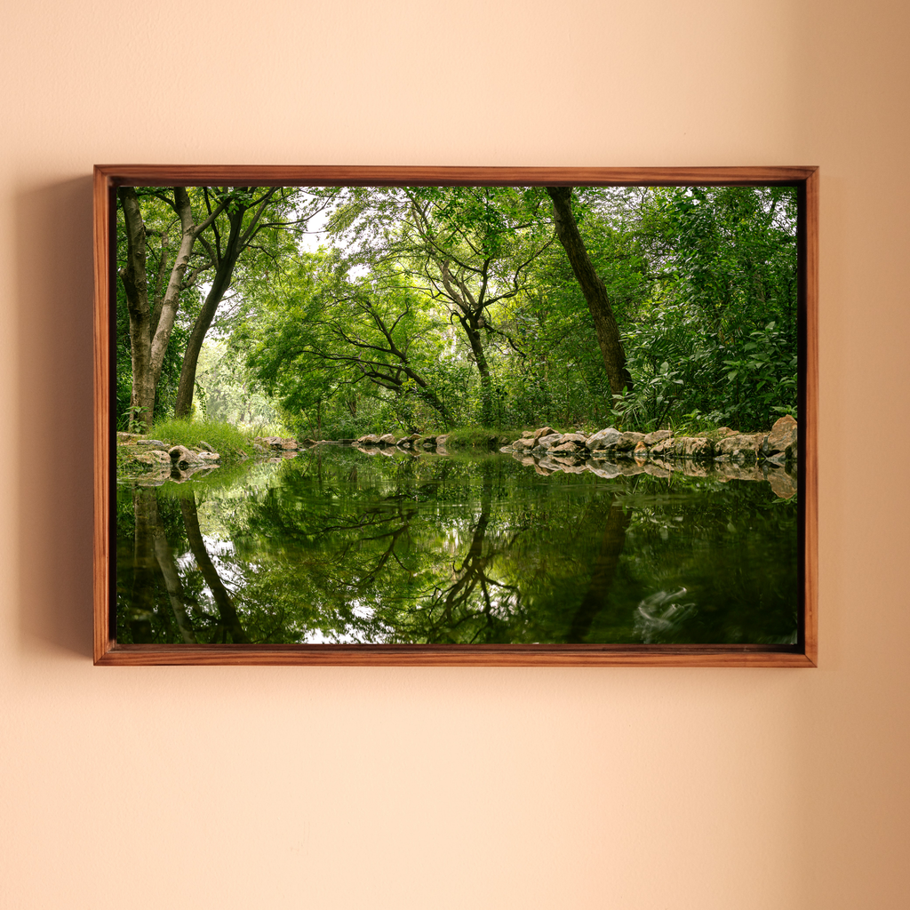 Delhi Green Escape – Forest Canopy, Stone Edge & Perfect Reflection | Fine Art Wall Photography Print