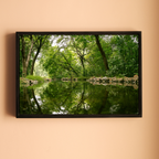 Delhi Green Escape – Forest Canopy, Stone Edge & Perfect Reflection | Fine Art Wall Photography Print