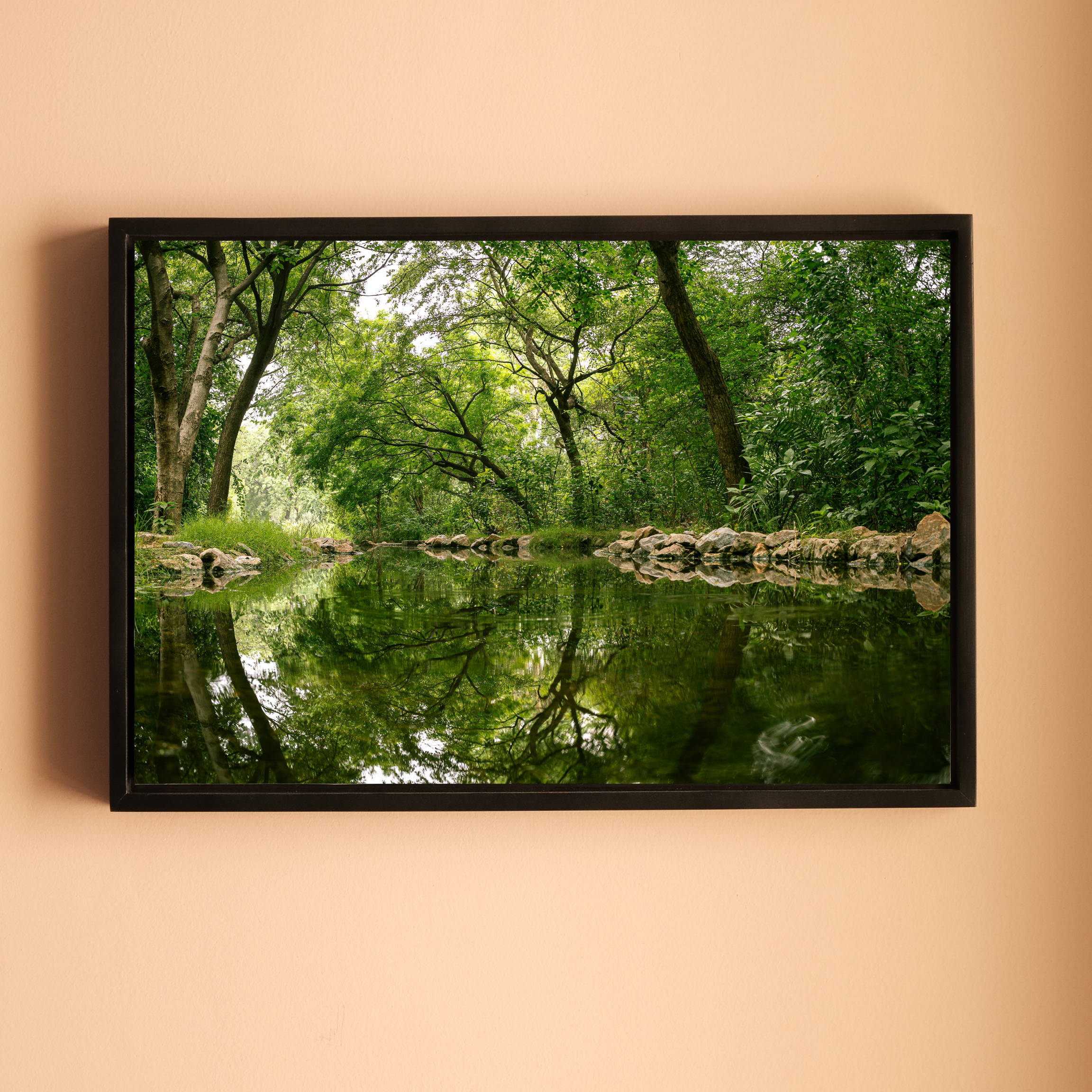 Delhi Green Escape – Forest Canopy, Stone Edge & Perfect Reflection | Fine Art Wall Photography Print