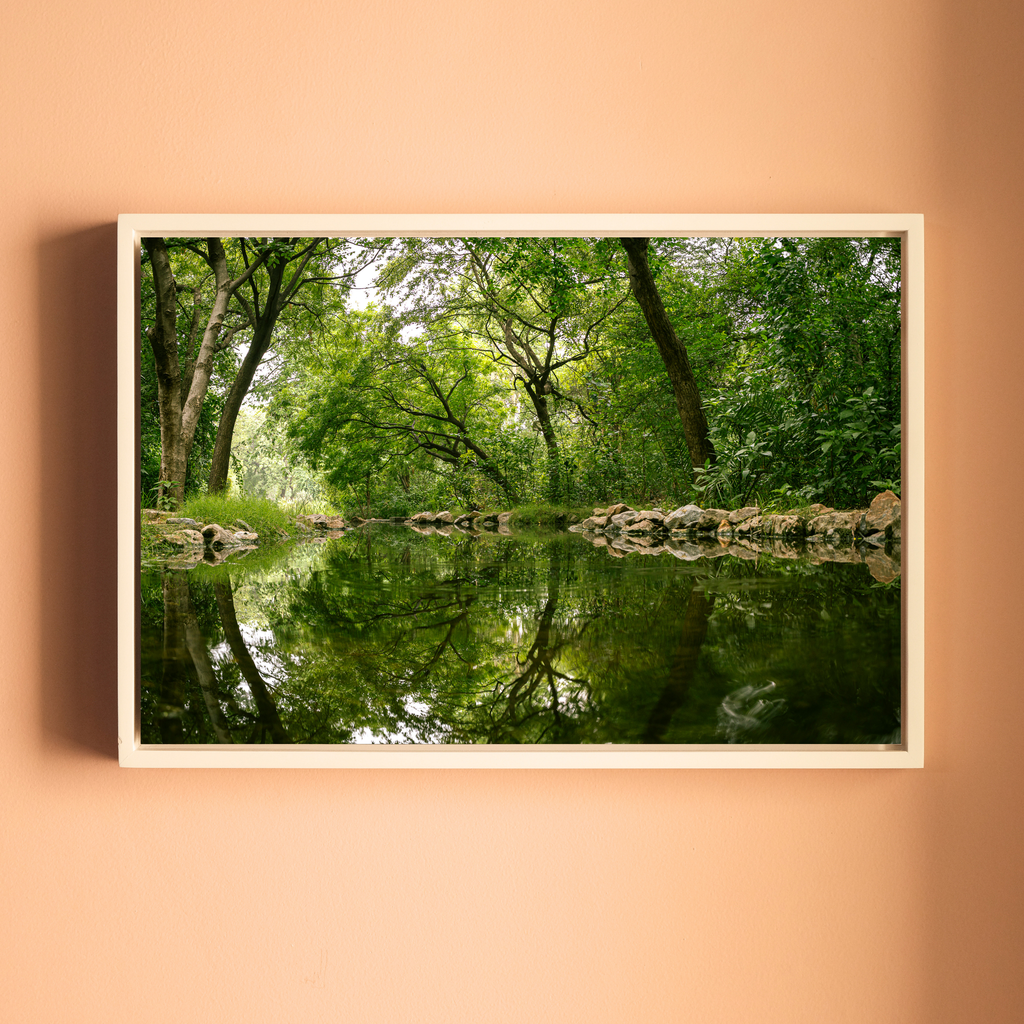 Delhi Green Escape – Forest Canopy, Stone Edge & Perfect Reflection | Fine Art Wall Photography Print