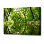 Delhi Green Escape – Forest Canopy, Stone Edge & Perfect Reflection | Fine Art Wall Photography Print