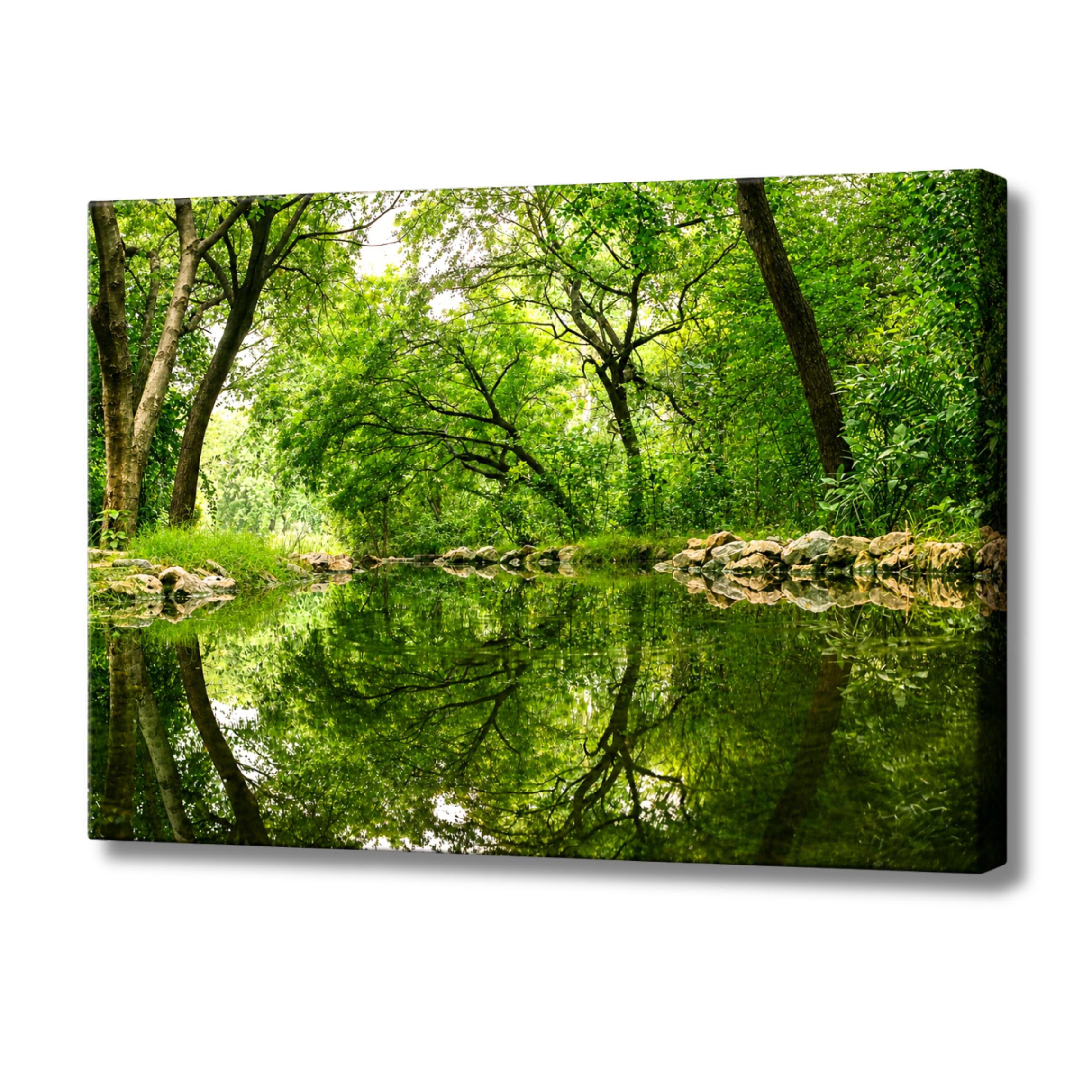 Delhi Green Escape – Forest Canopy, Stone Edge & Perfect Reflection | Fine Art Wall Photography Print