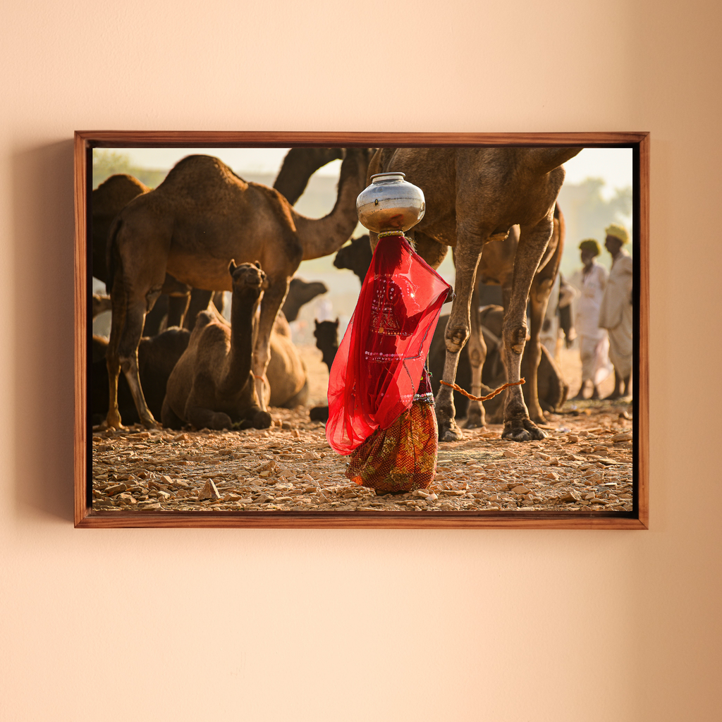 Pushkar Camel Fair – Woman in Red & Golden Light | Rajasthan Fine Art Wall Photography Print