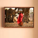 Pushkar Camel Fair – Woman in Red & Golden Light | Rajasthan Fine Art Wall Photography Print