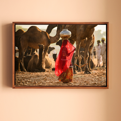 Pushkar Camel Fair – Woman in Red & Golden Light | Rajasthan Fine Art Wall Photography Print