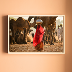 Pushkar Camel Fair – Woman in Red & Golden Light | Rajasthan Fine Art Wall Photography Print