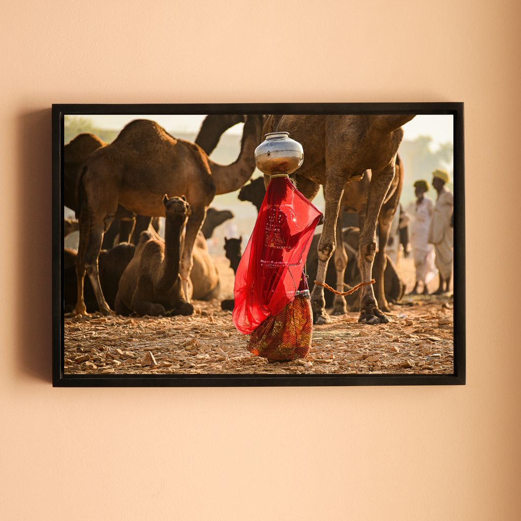 Pushkar Camel Fair – Woman in Red & Golden Light | Rajasthan Fine Art Wall Photography Print