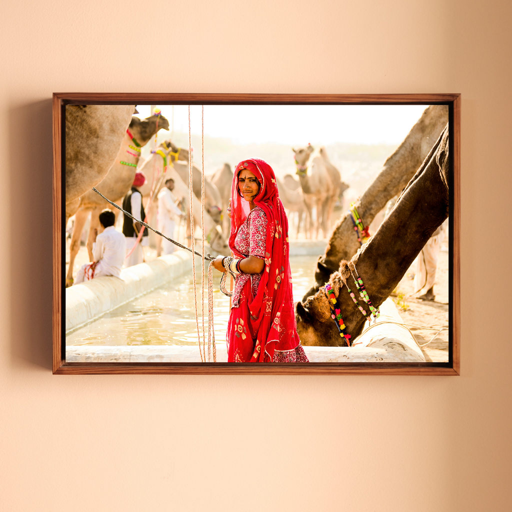 Pushkar Camel Fair – Woman in Red at the Camel Pond | Rajasthan Fine Art Wall Photography Print