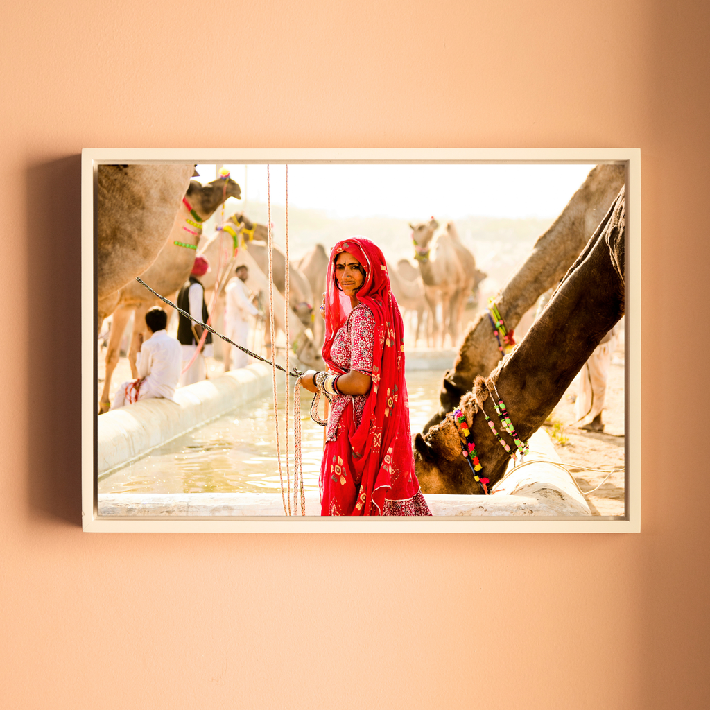 Pushkar Camel Fair – Woman in Red at the Camel Pond | Rajasthan Fine Art Wall Photography Print