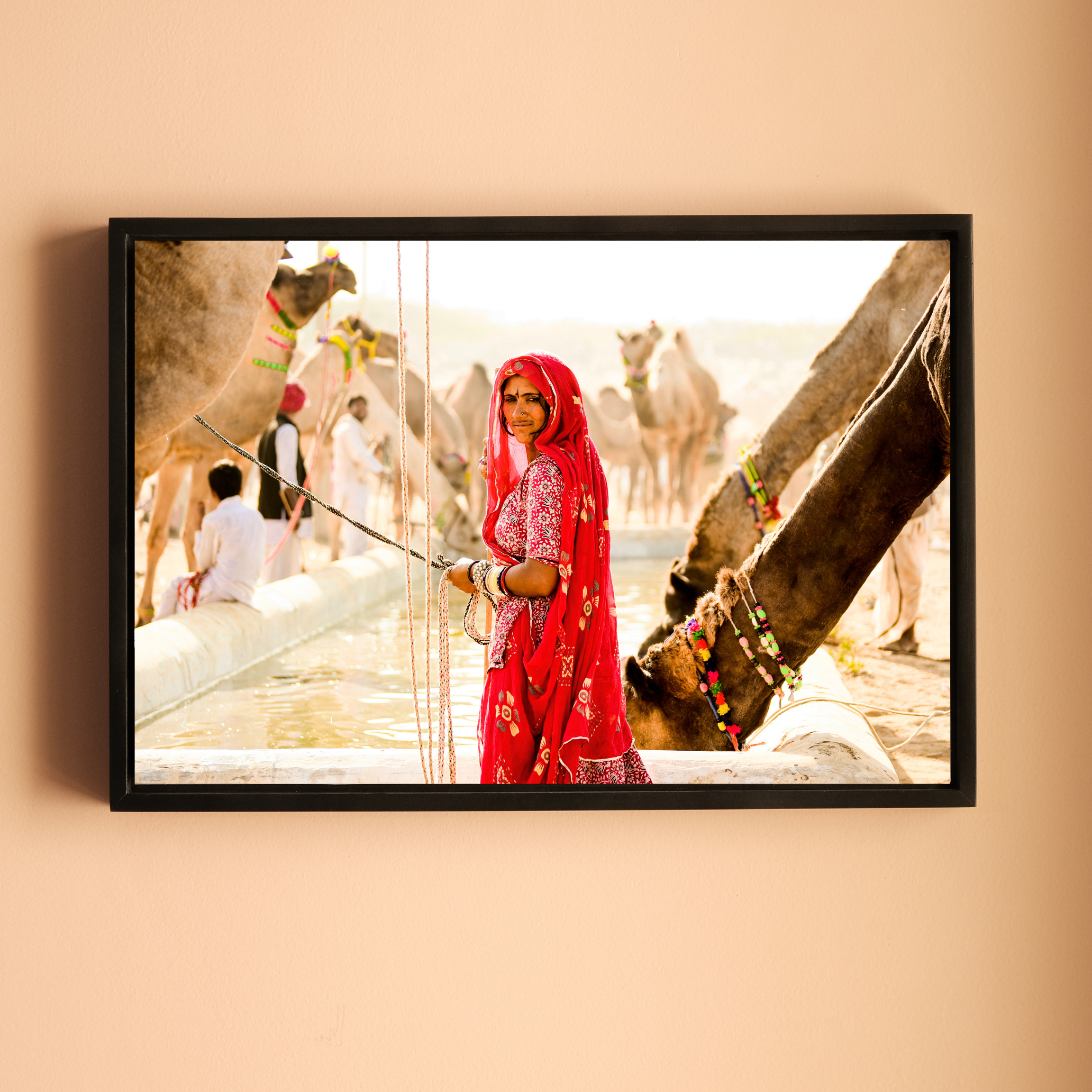 Pushkar Camel Fair – Woman in Red at the Camel Pond | Rajasthan Fine Art Wall Photography Print