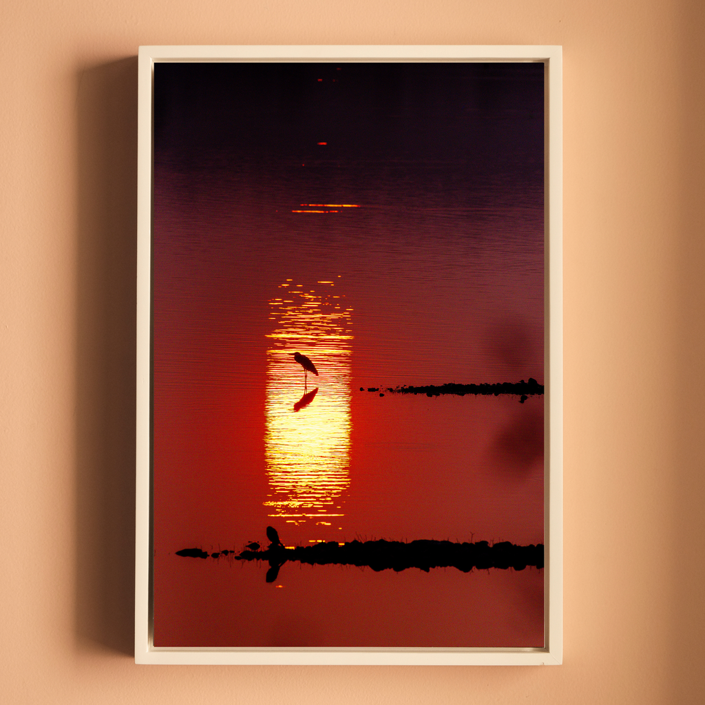 Bird in Silhouette – Sunset Over the Lake | Crimson Reflections Fine Art Wall Photography Print
