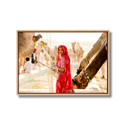 Pushkar Camel Fair – Woman in Red at the Camel Pond | Rajasthan Fine Art Wall Photography Print