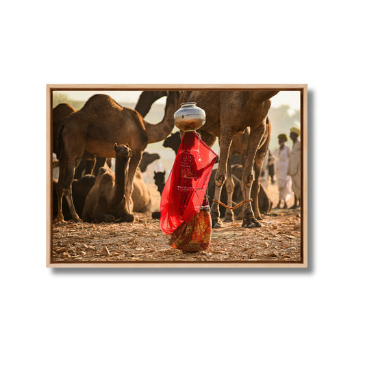 Pushkar Camel Fair – Woman in Red & Golden Light | Rajasthan Fine Art Wall Photography Print