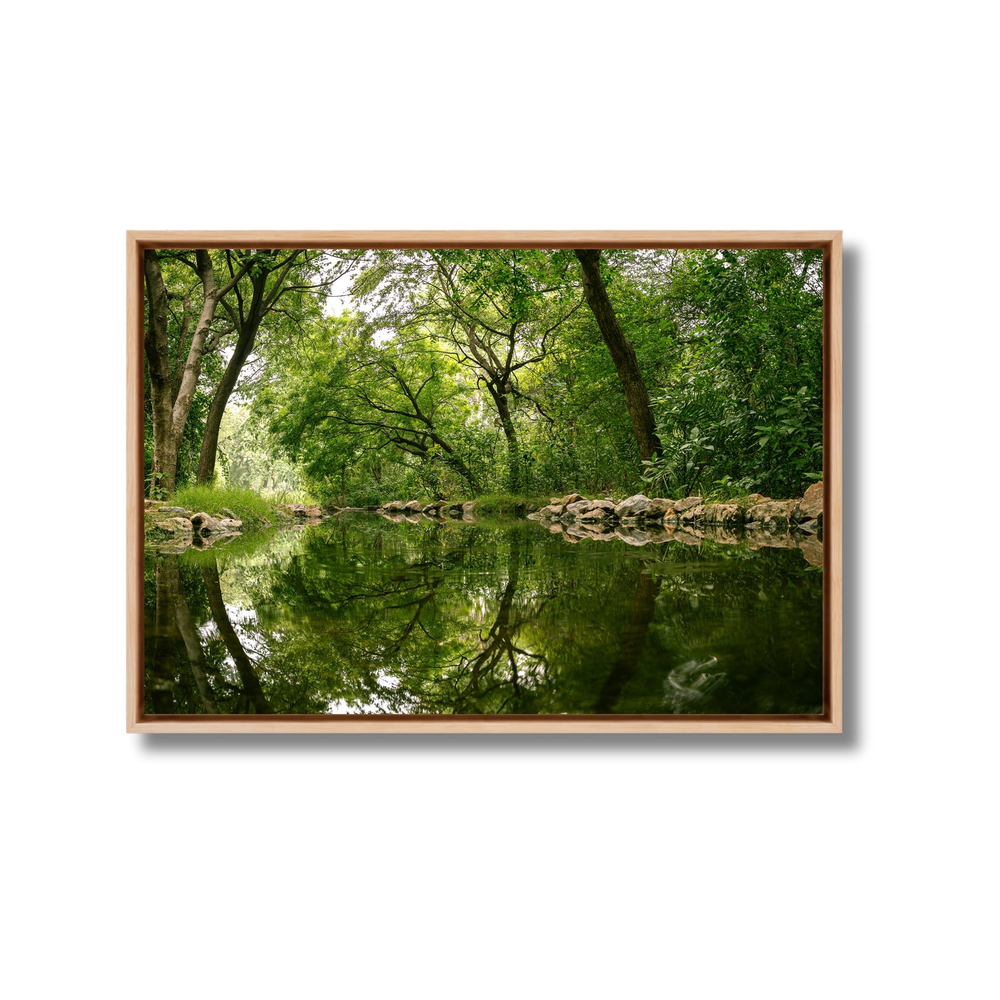 Delhi Green Escape – Forest Canopy, Stone Edge & Perfect Reflection | Fine Art Wall Photography Print
