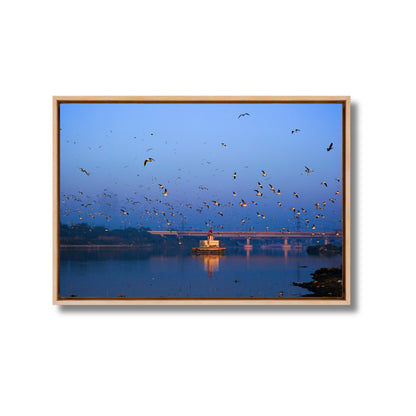 Yamuna River – Winter Morning, Flock of Seagulls & the Blue Dawn Sky | Fine Art Wall Photography Print