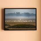 Bharatpur Bird Sanctuary – Flock in the Mist, One in Flight | Fine Art Wall Photography Print