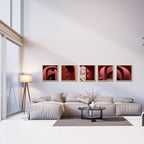 Jantar Mantar, New Delhi – Crimson Arches | Set of 5 Square Fine Art Wall Photography Prints